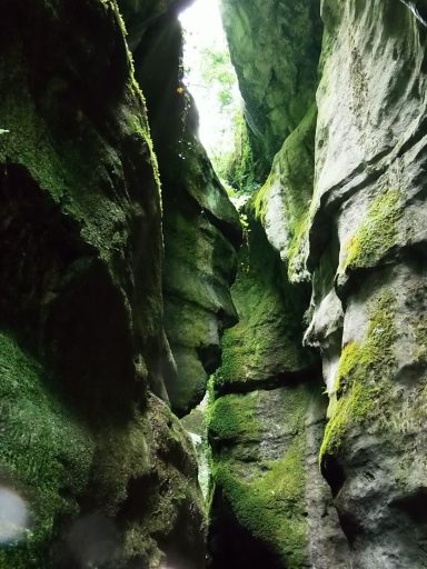Les Gorges du Fier